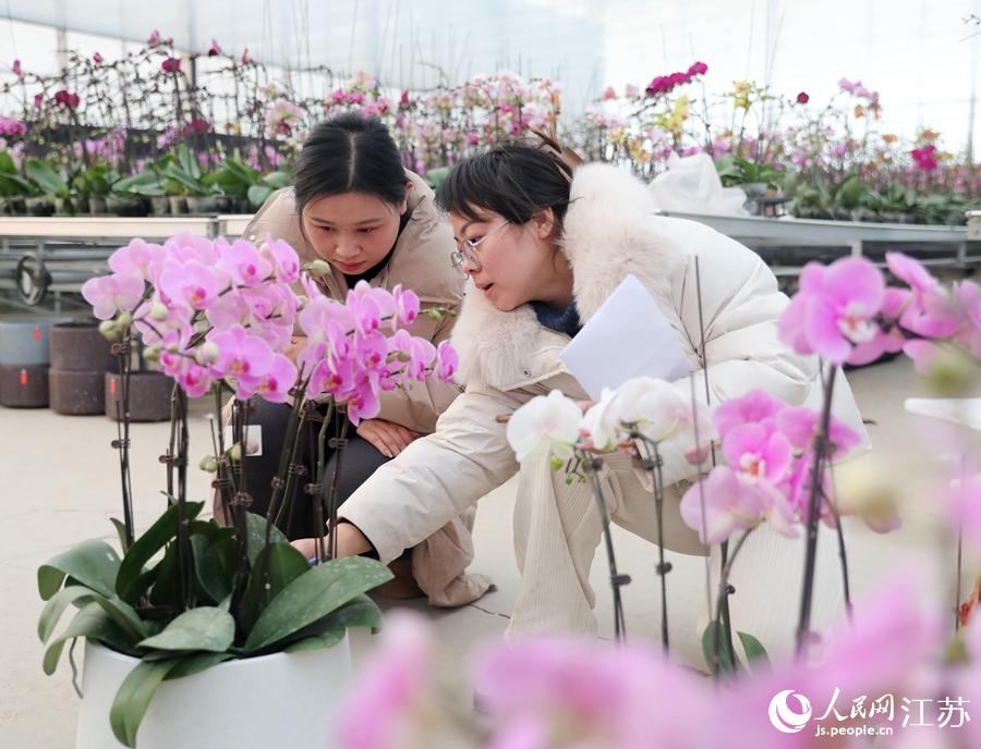 ���؆T��æ����(du��)�����m�M(j��n)�нM�������A���z