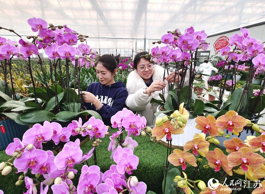 ���؆T��æ���������m�M�нM�������A���z