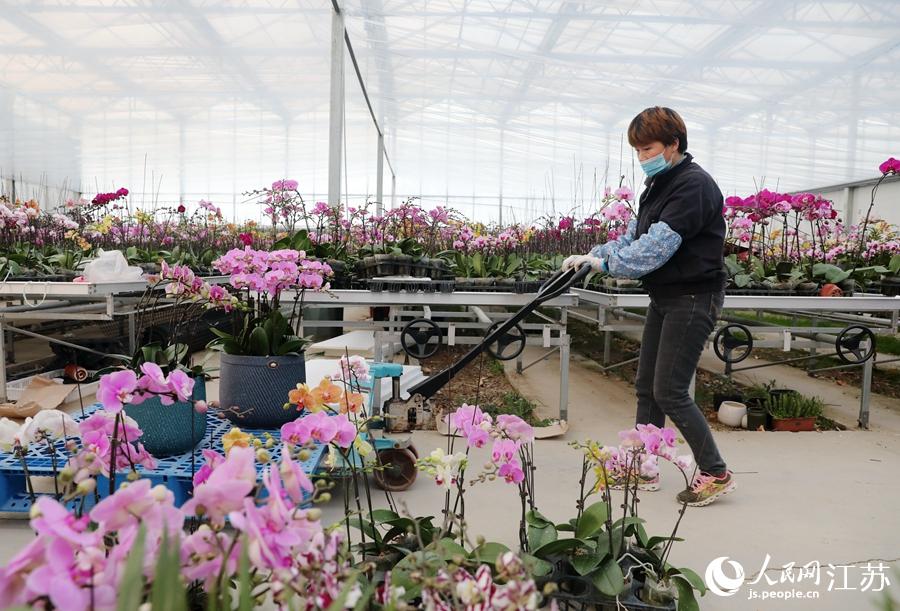 ���؆T��æ���������m�M�нM�������A���z