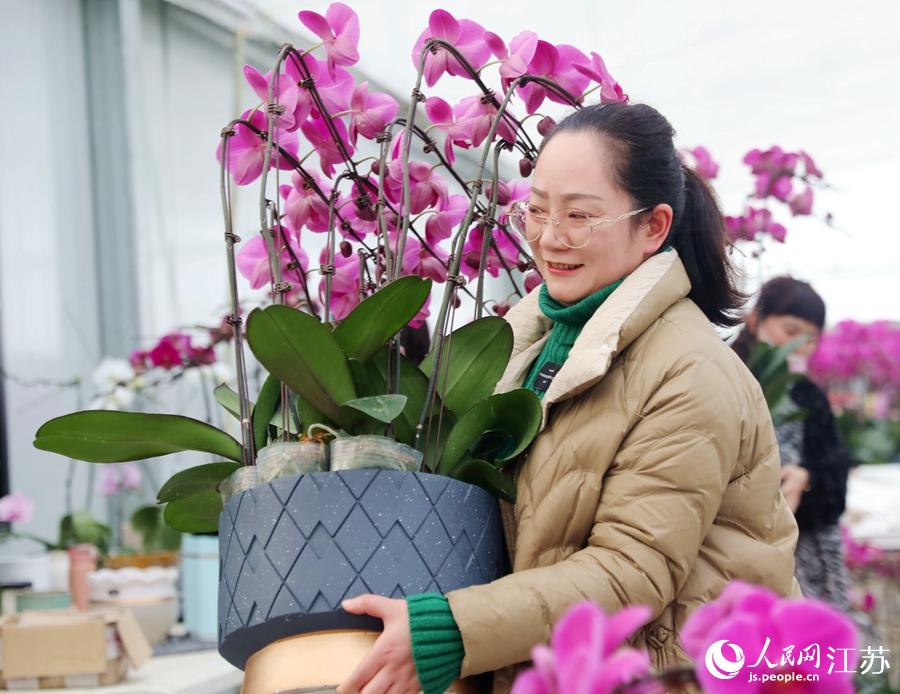 ���؆T��æ����(du��)�����m�M(j��n)�нM�������A���z