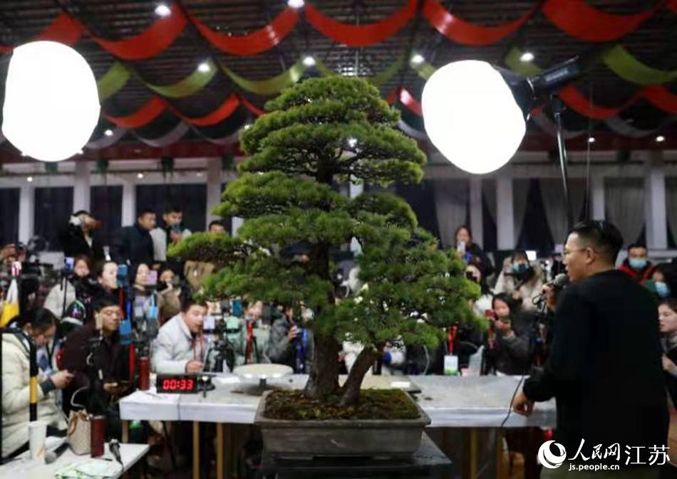 ����ͨ�^(gu��)ֱ�����u(m��i)����ʽ�N(xi��o)���辰�����A���z