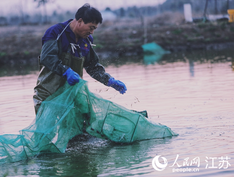 1、蝦農(nóng)在勞作。受訪對象供圖