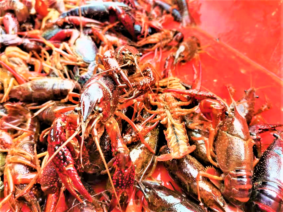 ���l(xi��ng)��(chu��ng)�I(y��)��W(xu��)�����Ȼ�B(y��ng)ֳ�ķ�����(ji��)���r�_ʼ�������ʿ���z