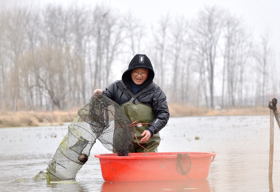 ���l(xi��ng)��(chu��ng)�I(y��)��W�����Ȼ�B(y��ng)ֳ�ķ�����(ji��)���r�_ʼ�������ʿ���z