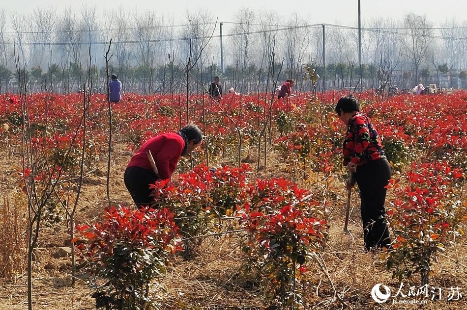 Ч����^(q��)����(du��)���g��ľ���ݡ����A���z