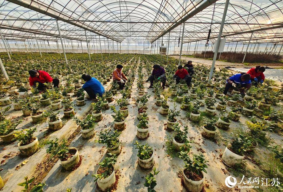 Ч����^(q��)�����ڻ�ľ�����(n��i)���������A���z