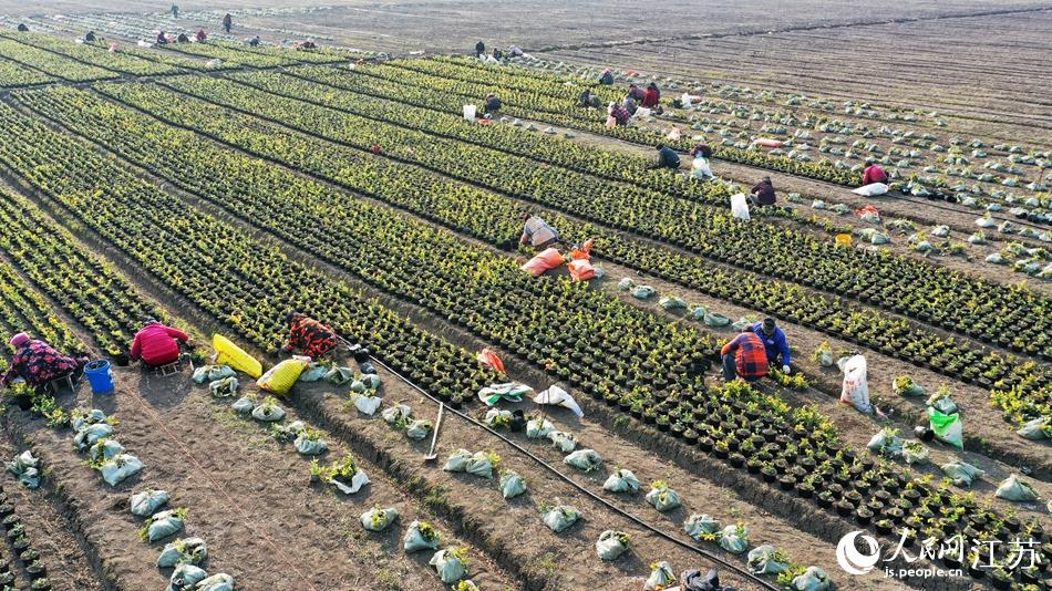 Ч����^(q��)�������g�ڄӈ��������A���z