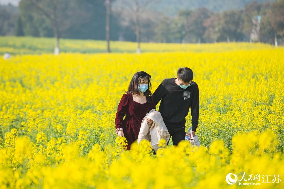 �ο��^���p�������Дz