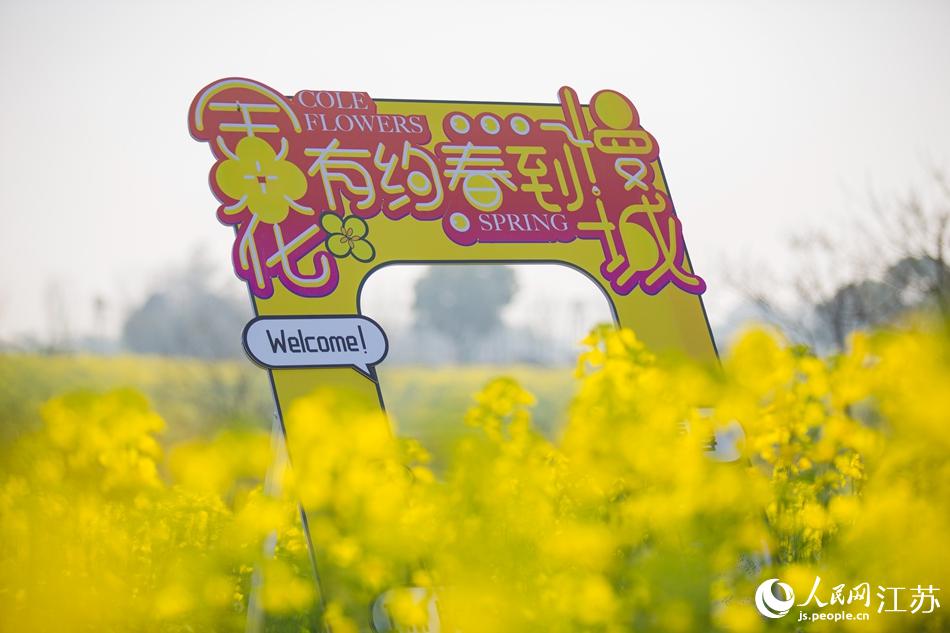 �Ͳ˻�������мs�������ǡ���ָʾ�ơ����Дz