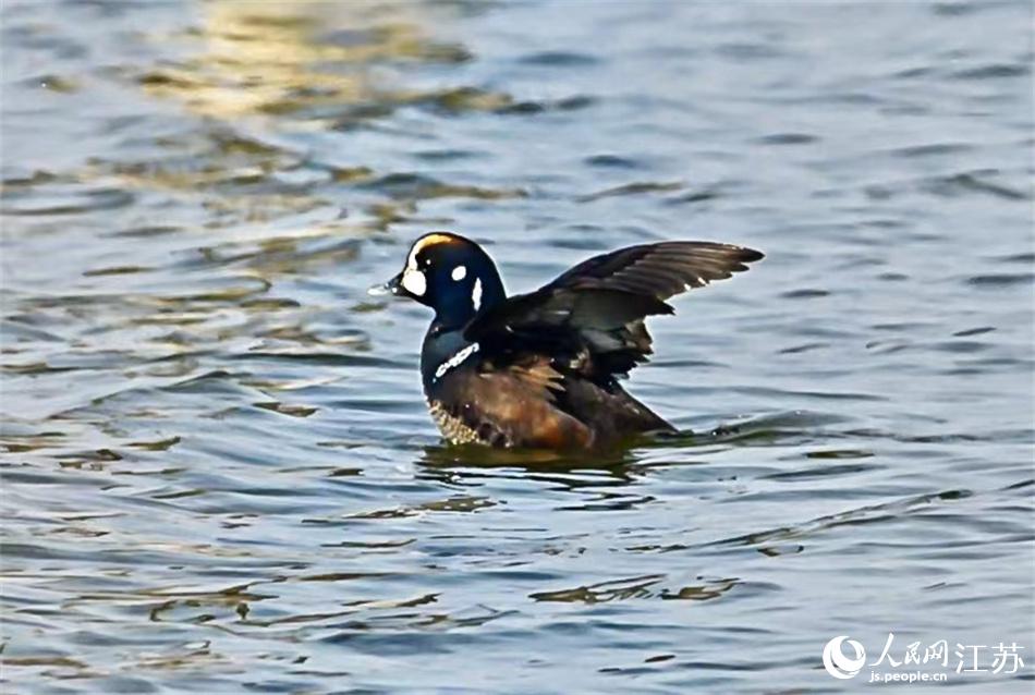 ����չ�_(k��i)��� �ܳ���?c��i)z