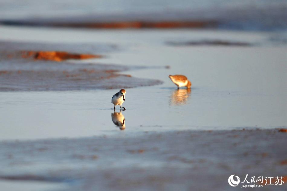 ���S����؃�(n��i)�Ĕz������������ꐇ��h�z