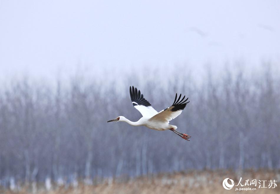 �S����؃�(n��i)�İ��Q�� ꐇ��h(yu��n)�z