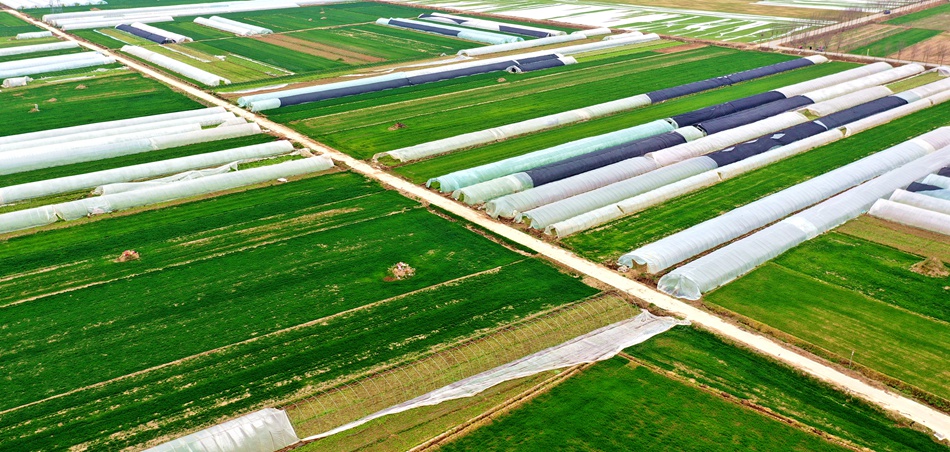 ��ꖿh�A�_�(zh��n)վ�մ��J��Nֲ��������ꖟ��ݹ��D