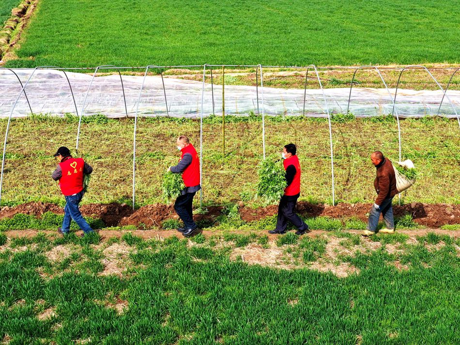 ־Ը�ߎ����Y(ji��)���ͷ����r(n��ng)���ո����b�\(y��n)�J������ꖟ��ݹ��D