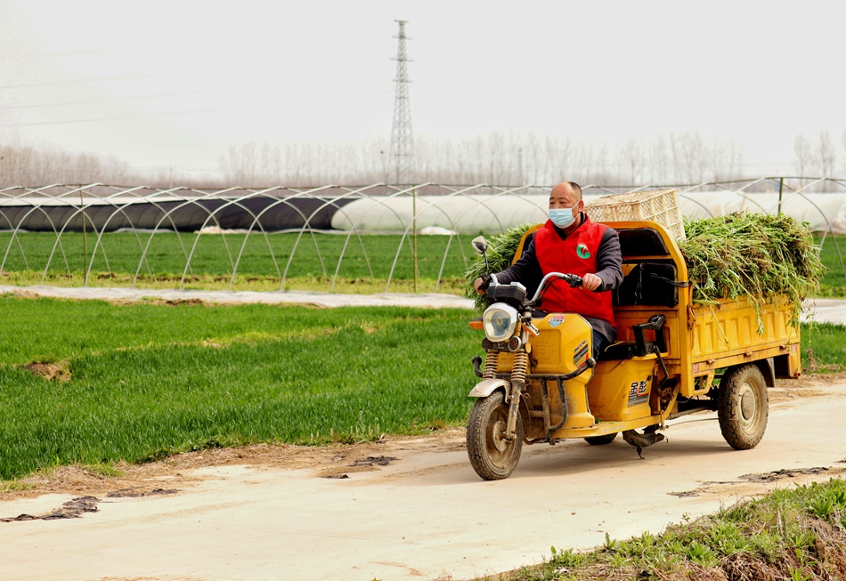 ־Ը�ߎ����Y(ji��)���ͷ����r(n��ng)���\���J���ꖟ��ݹ��D