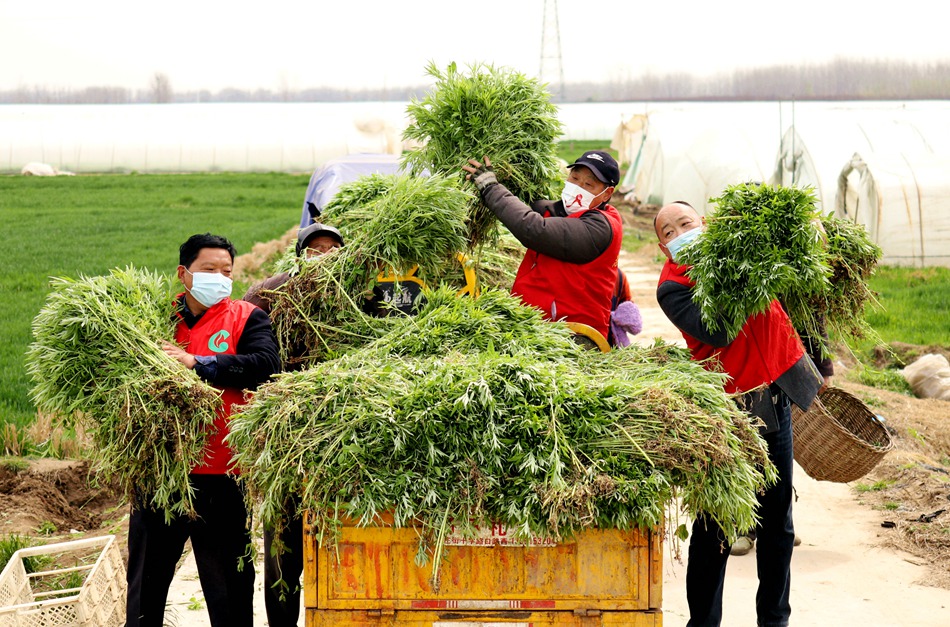 ־Ը�ߎ����Y(ji��)���ͷ����r(n��ng)���b�\�J���ꖟ��ݹ��D