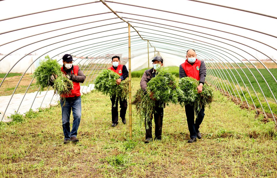 ־Ը�����J��Nֲ���؎�æ���\(y��n)�J������ꖟ��ݹ��D