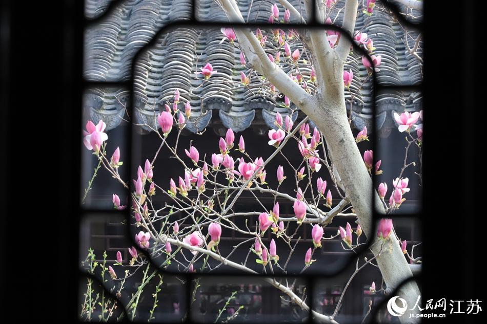 �Ɉ@��(n��i)�����m���K����ί���������D