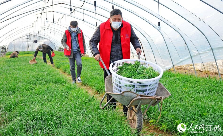 �aɽ�^(q��)�a���(zh��n)�Nֲ��(h��)�峿�_(k��i)ʼ��ժ�������߲˹���(y��ng)��ꐻݳ��z