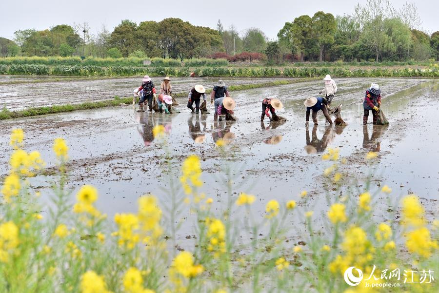 �����ˆT�����gæµ���ޟ��z