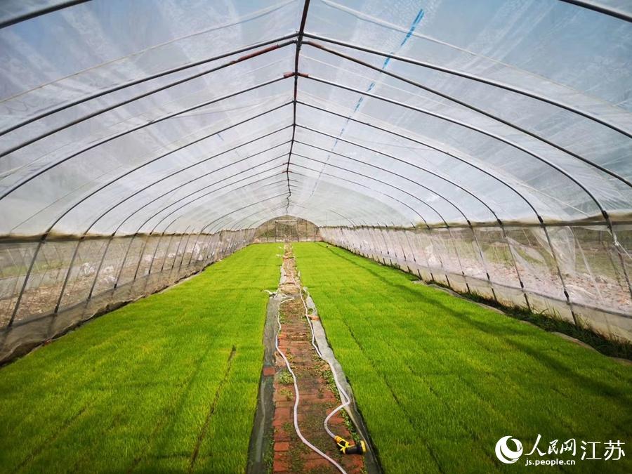 �����(n��i)��������혔z