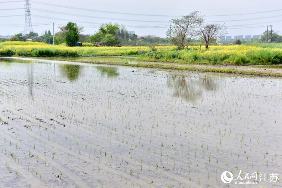 ���g�岥�õ�һ�����������ޟ��z