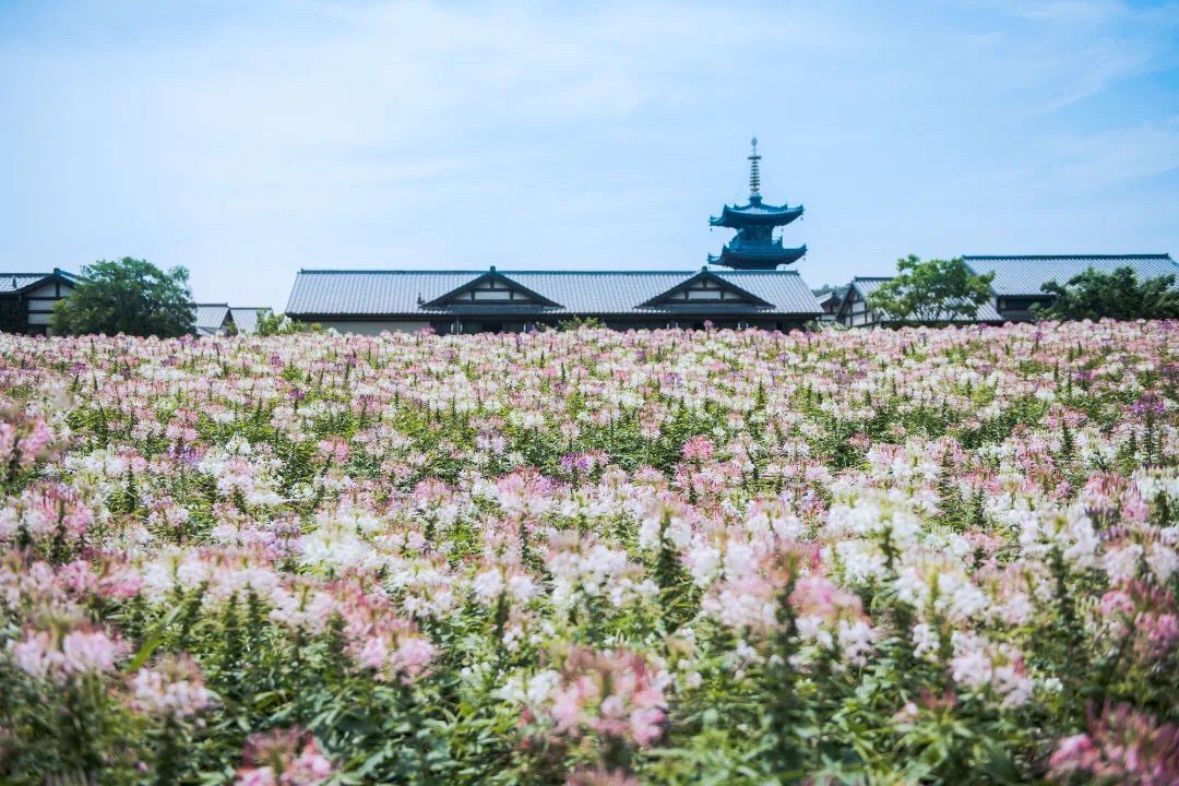 �D��I�����c(di��n)���I���^(q��)���w���ξֹ��D