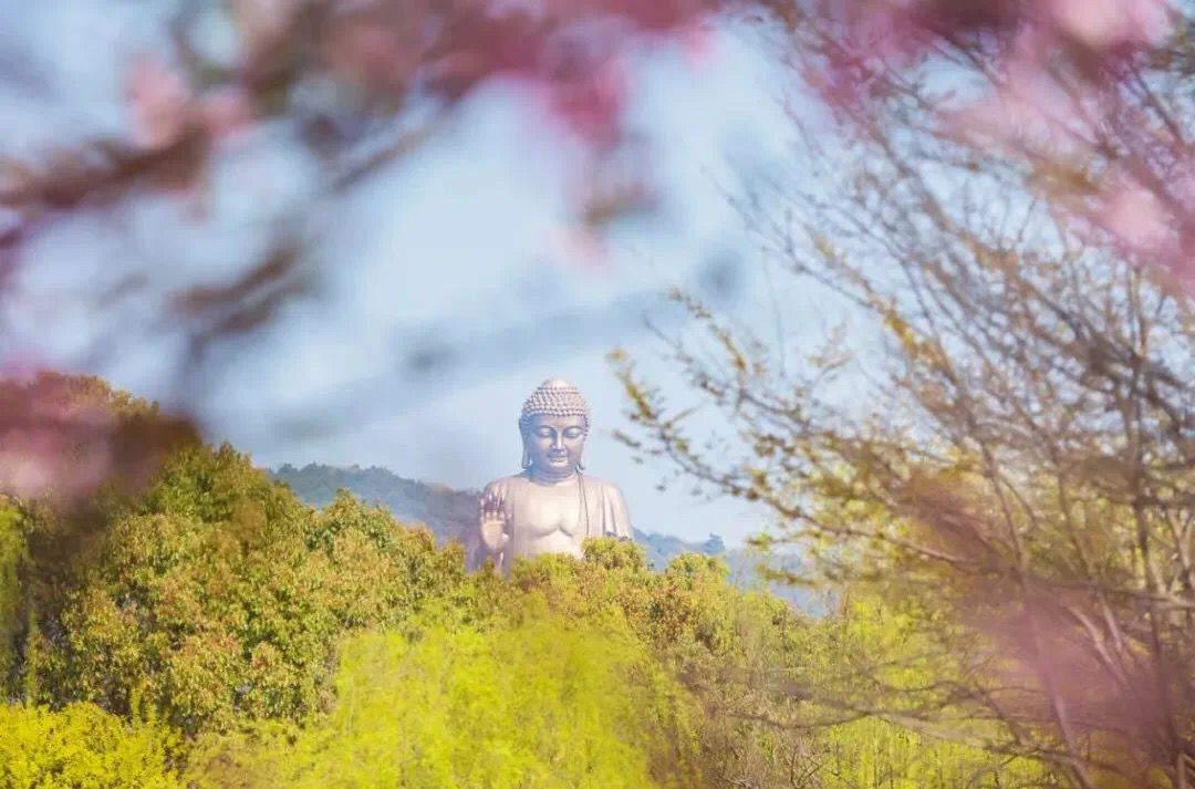 �D��I�����c(di��n)���I���^(q��)���w���ξֹ��D