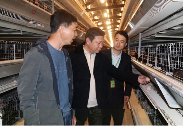 張?zhí)K建與銀行工作人員實(shí)地調(diào)研客戶養(yǎng)雞場。興化煙草供圖