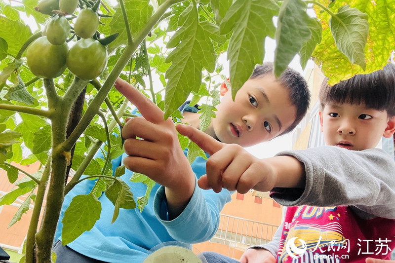 細(xì)心觀察。張靜攝