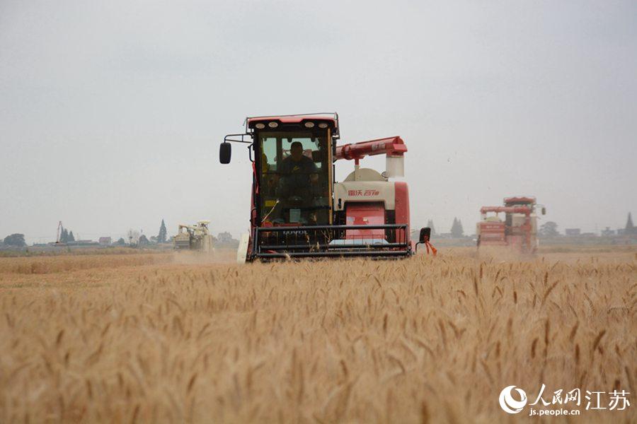 �����ո�C(j��)�����g���I(y��)���f�|���z