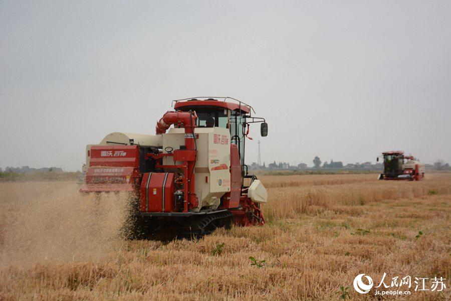 �Ͼ��иߴ��^(q��)������Ƭ�^(q��)�ߘ�(bi��o)��(zh��n)�r(n��ng)��С���_��ո����f�|���z