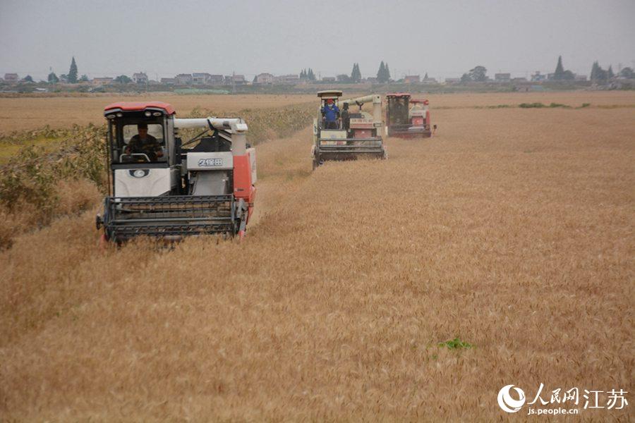 �����ո�C(j��)�����g���I(y��)���f�|���z