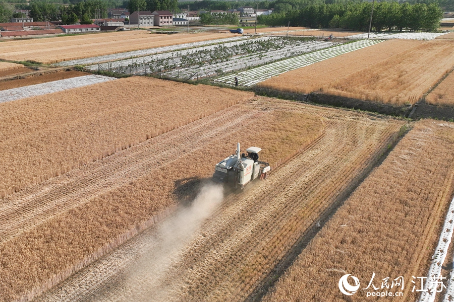 �M�܅^(q��)���f�(zh��n)�|���X���r(n��ng)���B���˾���z