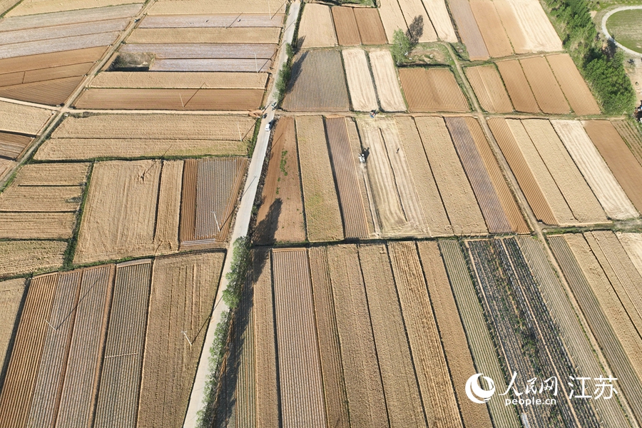 �M�܅^(q��)���f�(zh��n)�|���X���r���B���˾���z