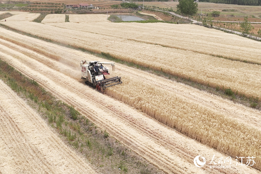 �M�܅^(q��)��ɽ�(zh��n)Ҧ�𲺴����r(n��ng)���{��ո�C�����g�ո������˾���z