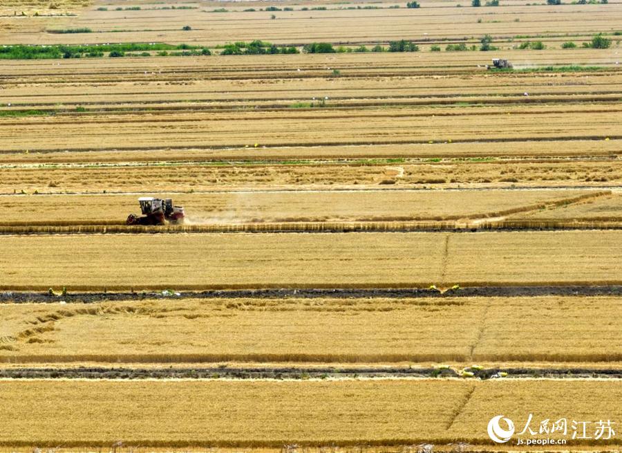 �ո�C(j��)�����g�����������o(j��)�����z