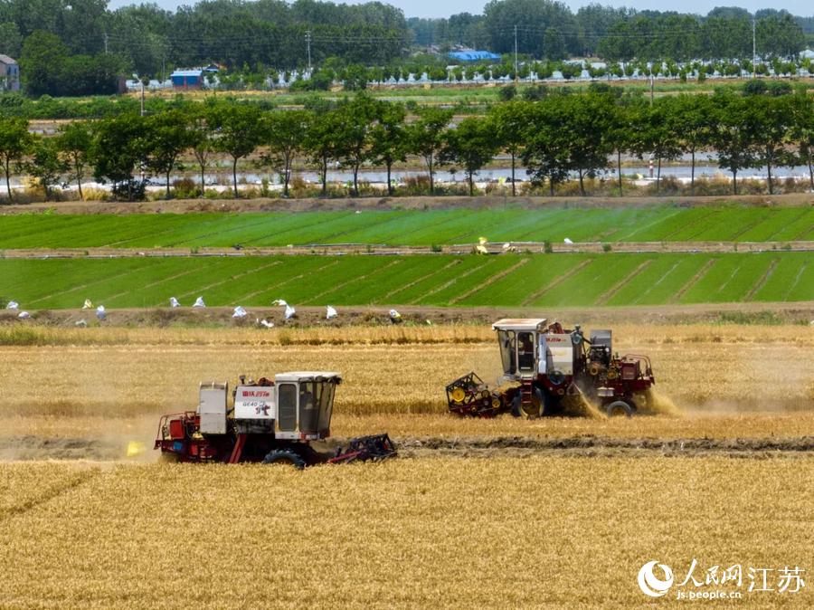 �ո�C(j��)�����I(y��)�����o(j��)�����z