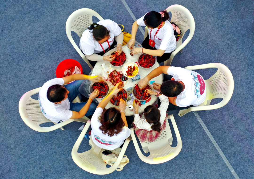 �D���t���r��F(xi��n)�� �S���y�z��