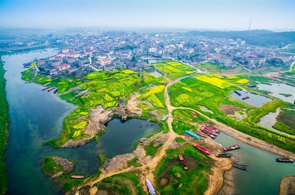 江蘇省高淳區(qū)西舍村全景。江蘇鄉(xiāng)村規(guī)劃建設(shè)研究會(huì)供圖