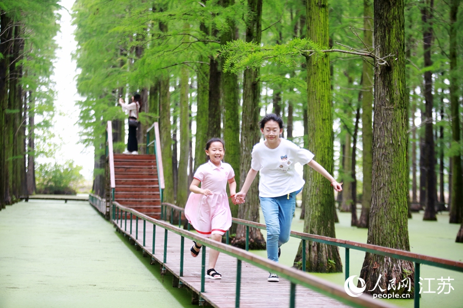 С�����ڝ�ع��@������ �ϵ����z