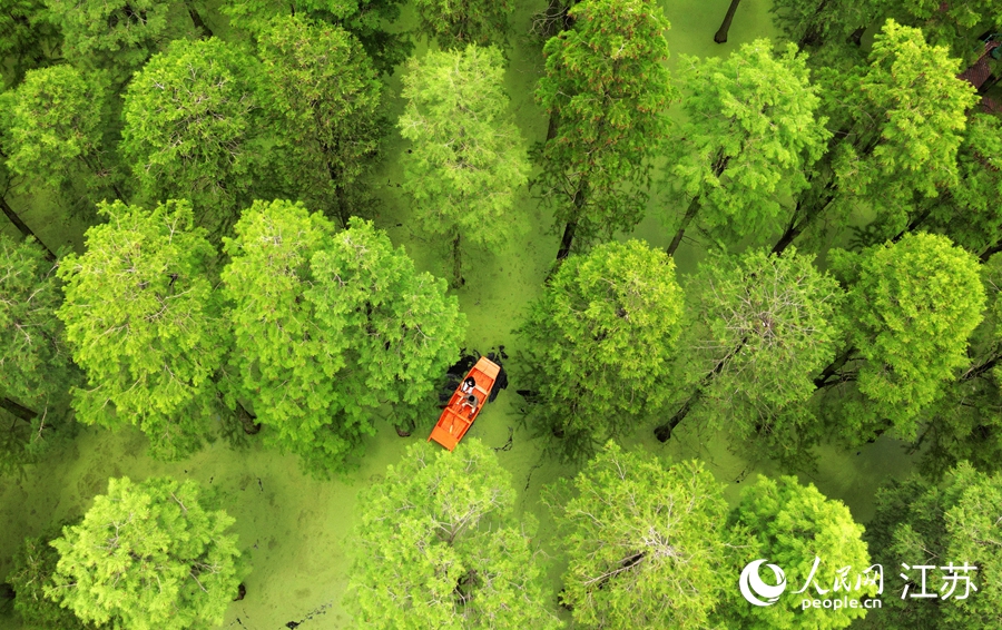 �δ����ڮ����Ρ� �ϵ����z