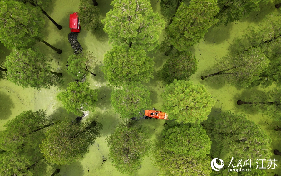 ��ˮ��ɭ�֡����L(f��ng)���� �ϵ����z