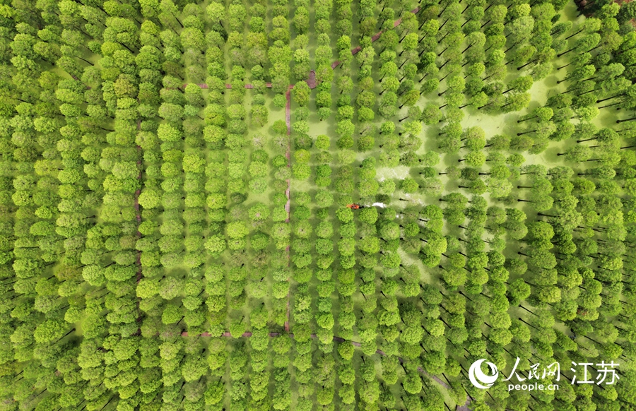 ���ĝ�ع��@�� �ϵ����z