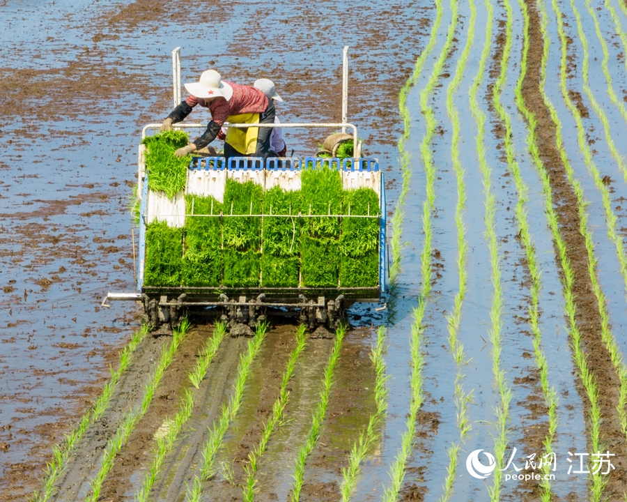 ����C(j��)���������R��ֲ��ˮ��������z