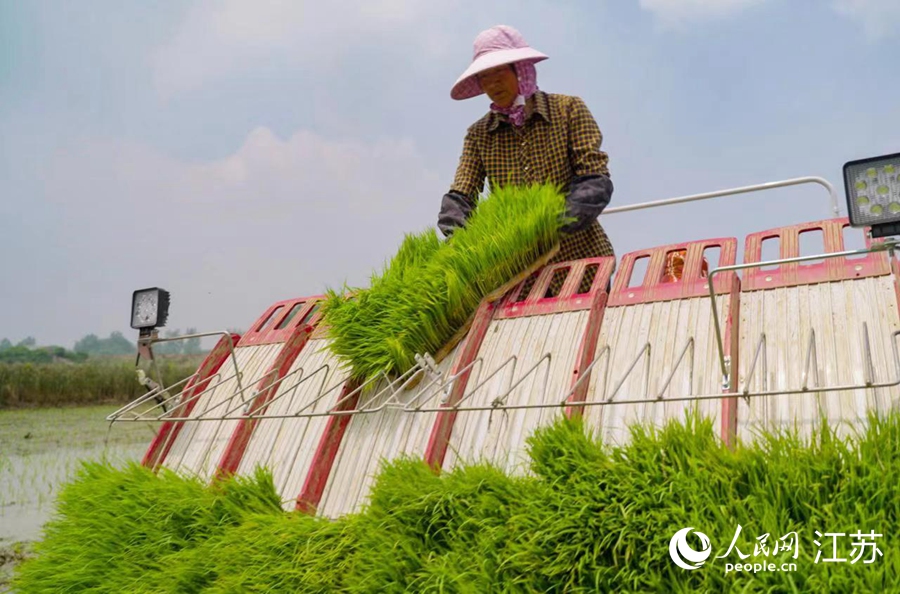 �ߴ��^(q��)�����(zh��n)���r(n��ng)�����������硣��־���z