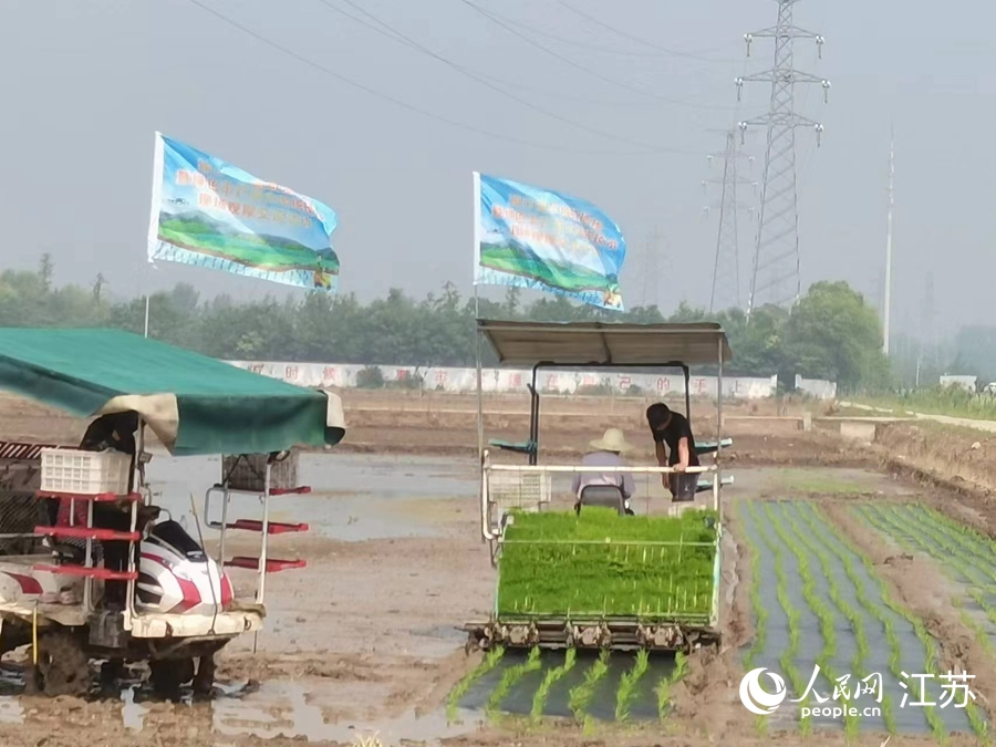 �ֿڅ^(q��)���ֵֽ��m�����ߘ˜��r(n��ng)��Nֲ�^(q��)�_չ�������I(y��)���߽�܊�z