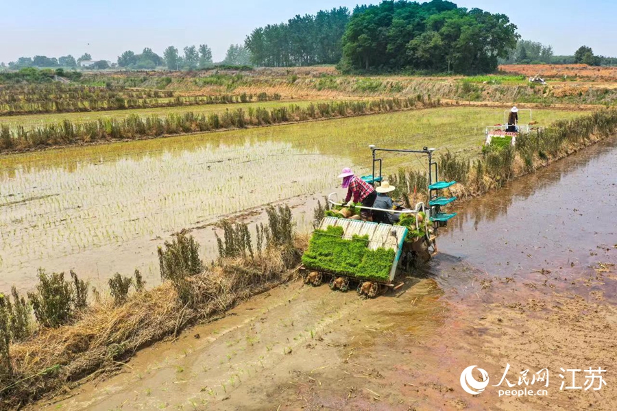 �ߴ��^(q��)�����(zh��n)����C(j��)�������I(y��)����־���z