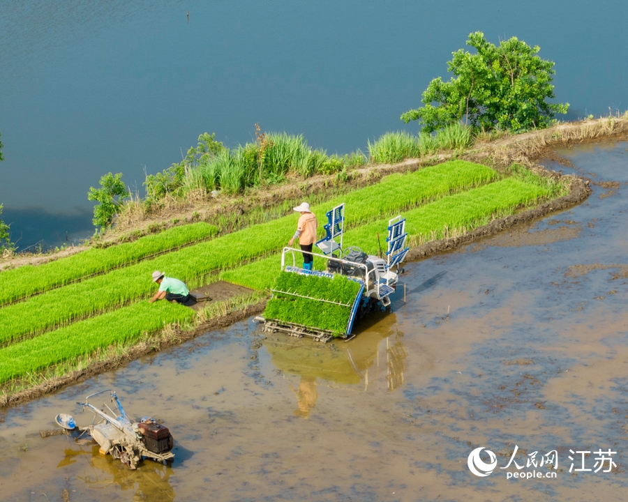 �����^(q��)������5000�஀�����_չ�����������������z