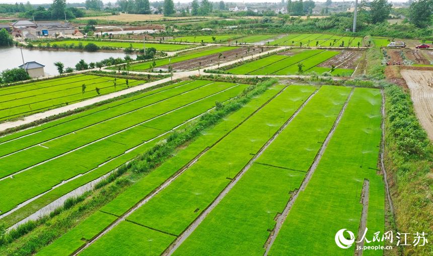 ���υ^(q��)�������r(n��ng)�C(j��)����(w��)������ļ��������������ɭ�z